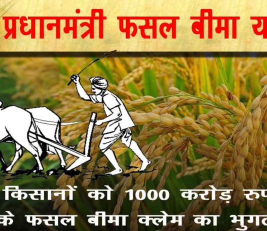 फसल बीमा क्लेम 2020 का भुगतान