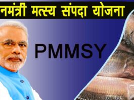 प्रधानमंत्री मत्स्य सम्पदा योजना (PMMSY)