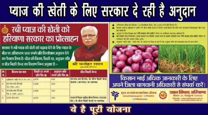 प्याज बीज अनुदान योजना |haryana farmers are getting subsidy on onion seeds for up to rs 500 read whole news in hindi