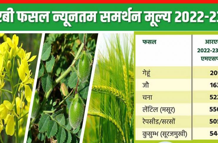 (MSP) for Rabi crops for marketing season 2022-23