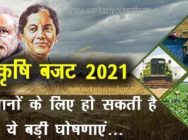 Agriculture Budget 2021 expectations : बजट 2021 में किसानों को क्या मिला