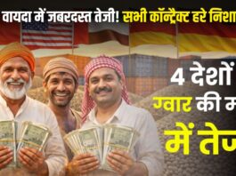 Guar Bhav Me Teji Kab Aayegi