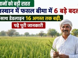 किसानों को राहत! राजस्थान में फसल बीमा में 6 बड़े बदलाव के साथ डेडलाइन 16 अगस्त तक बढ़ी, पढ़े पूरी जानकारी Deadline for Kharif crop insurance scheme in Rajasthan extended to August 16, with 6 major changes.